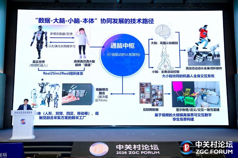 赌博网站